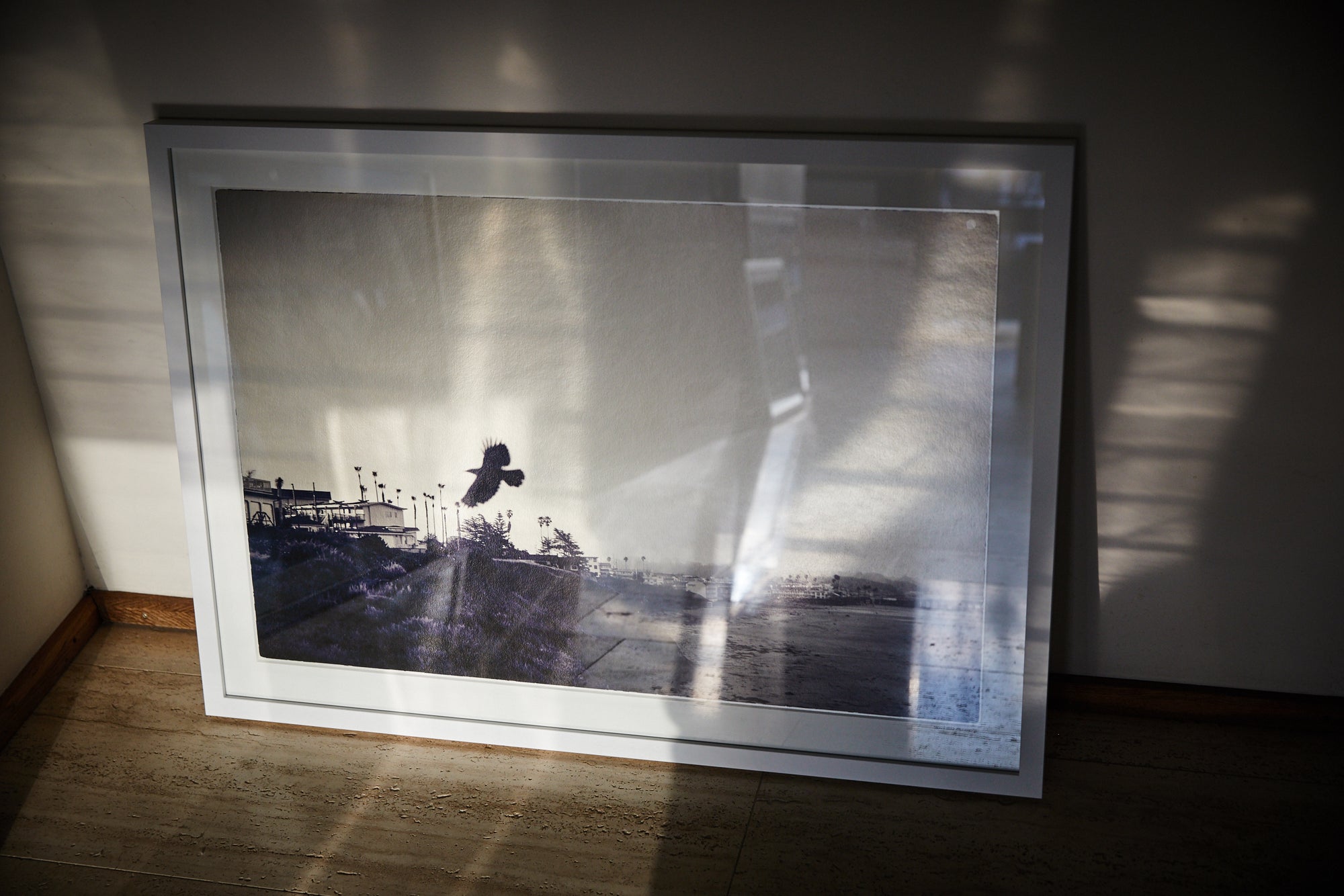 Black bird flying at dawn, Pismo Beach California 2019 – fine art print