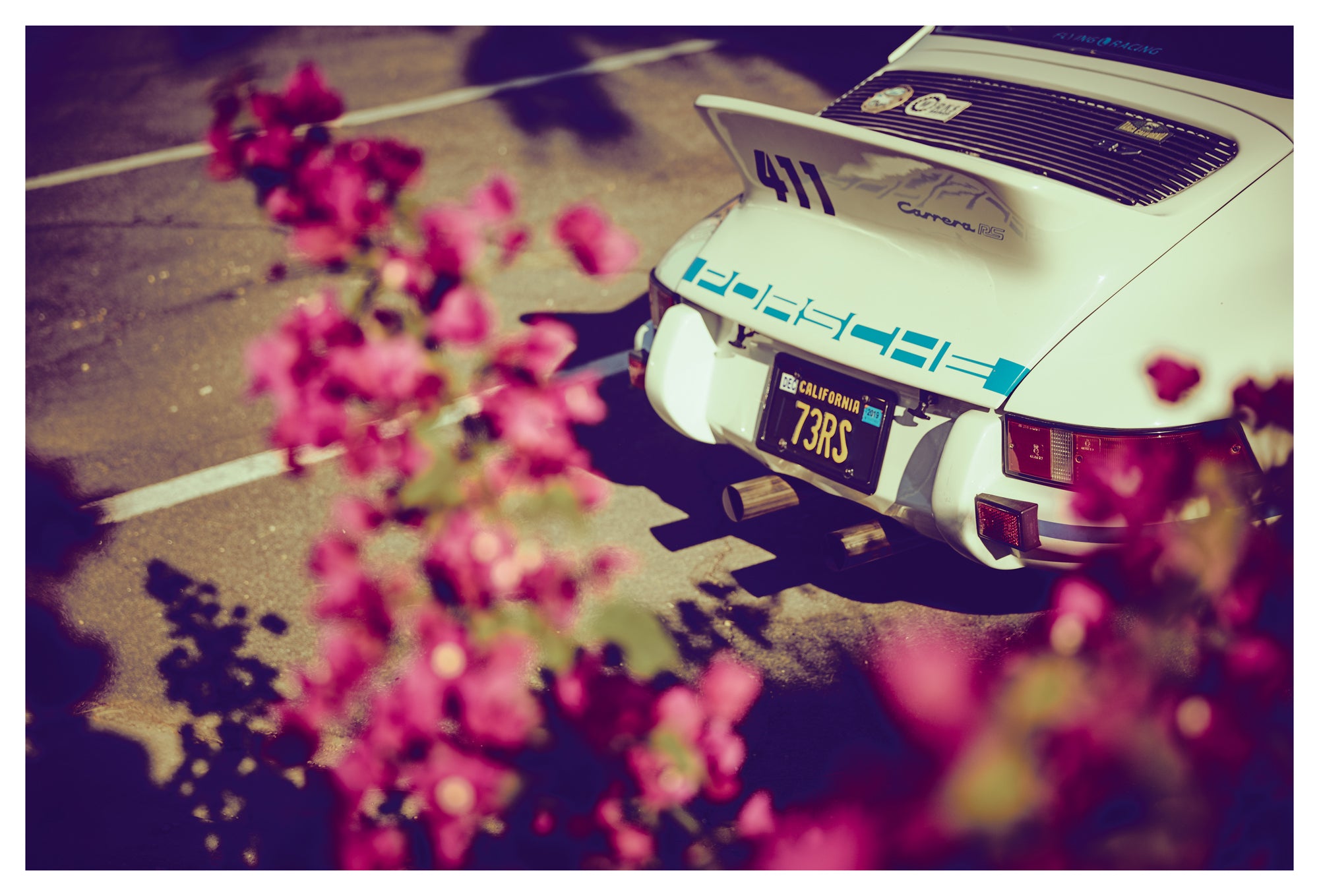 Porsche 911 Carrera RS with California plate in rose garden setting – fine art print