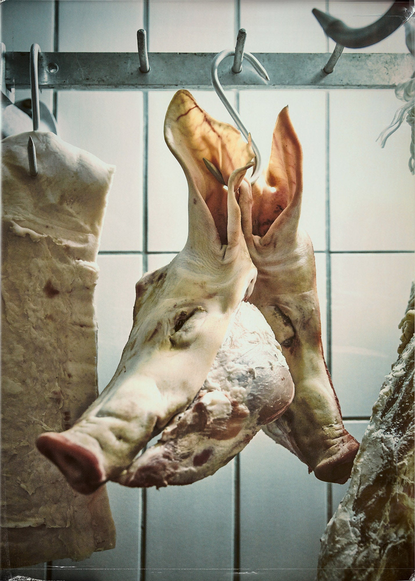 Fine art photography by Frank Kayser – pig’s head in cold storage, symbol of primal culinary roots.
