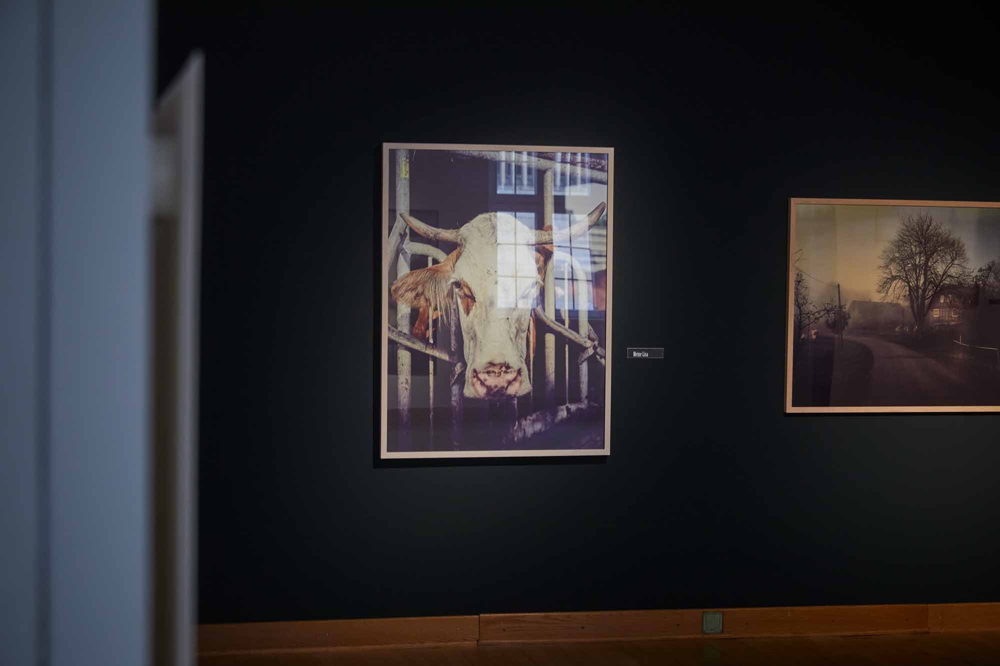 # Nebelhof-Der Hof der Käserin