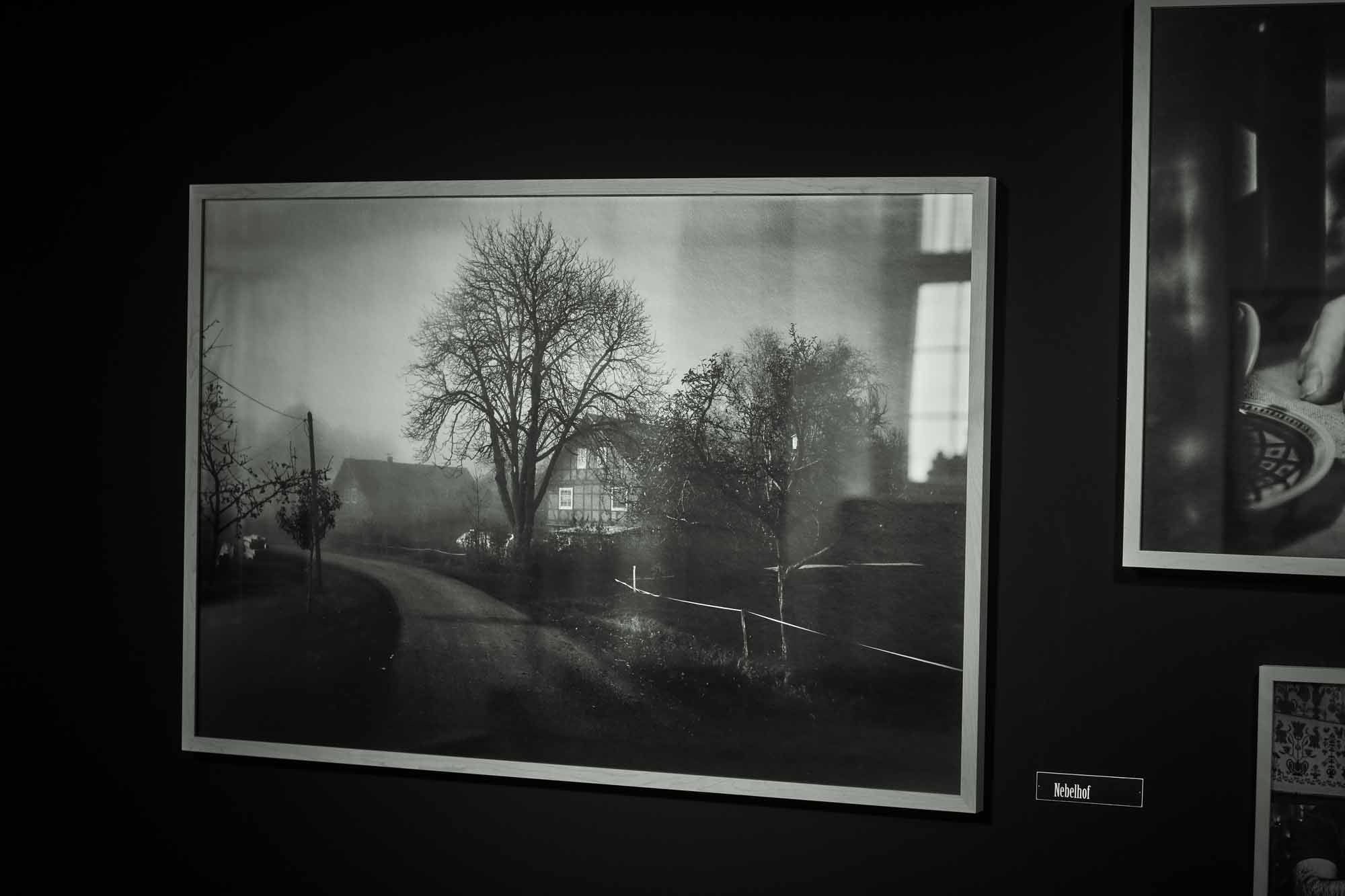 # Nebelhof-Der Hof der Käserin