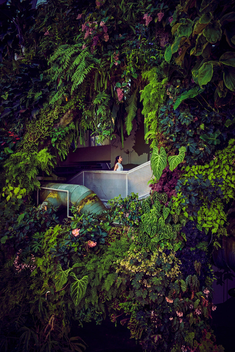 Woman on mezzanine within a lush vertical garden—tropical foliage and ducts, Singapore; fine art photograph by Frank Kayser.