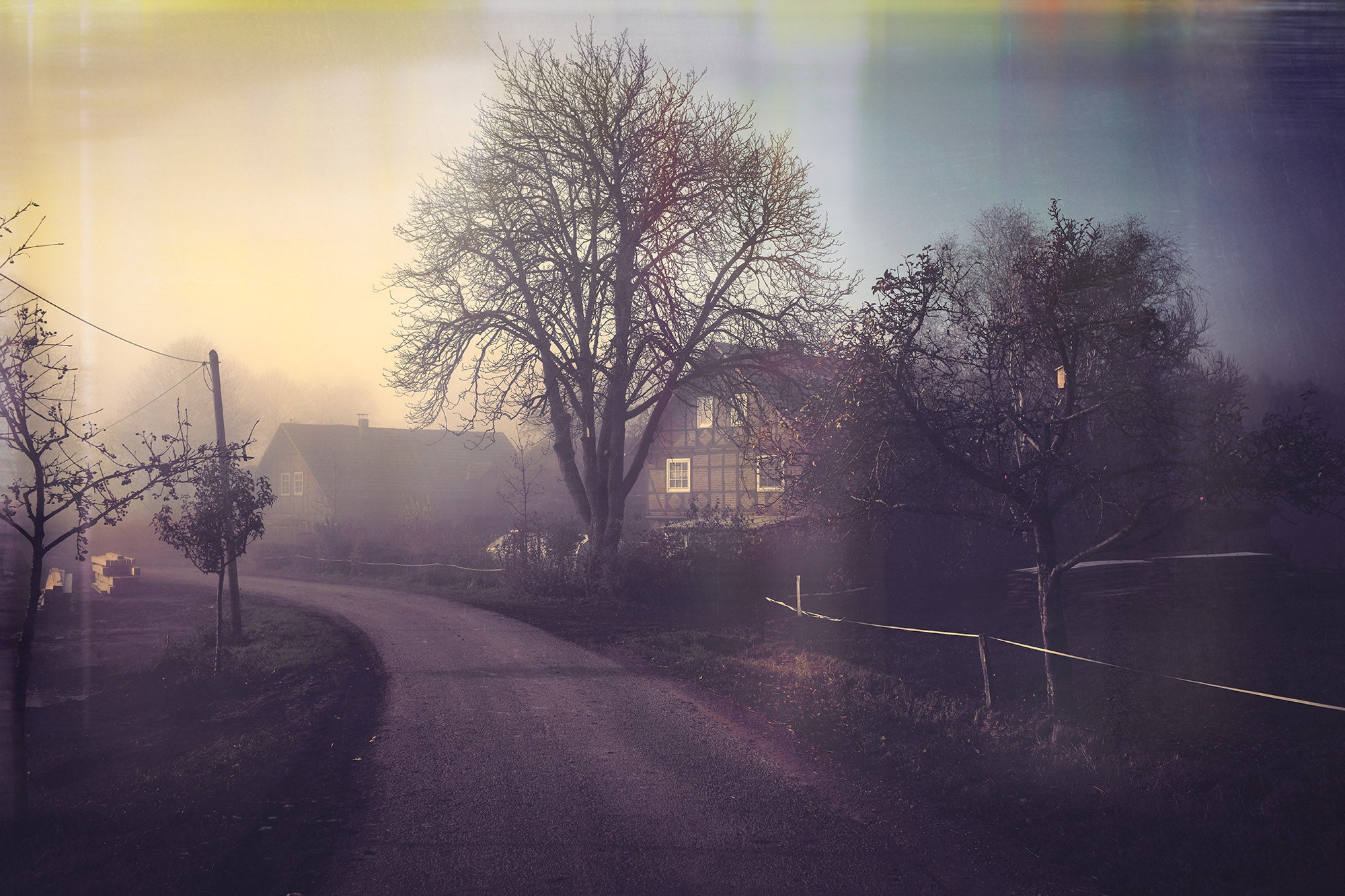 # Nebelhof-Der Hof der Käserin