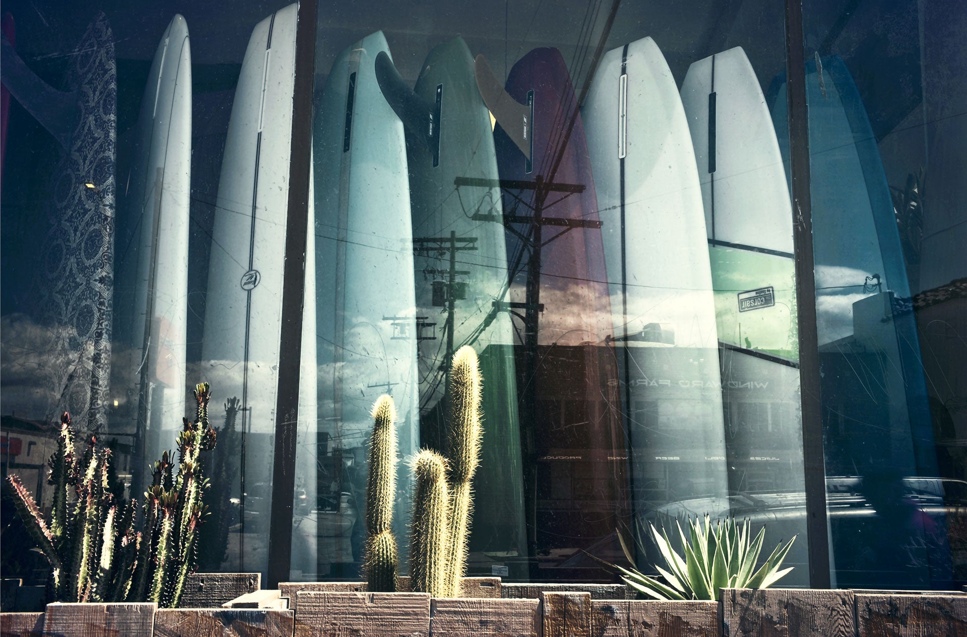 Surf shop window with lined-up longboards, street reflections, power lines, and desert cacti in wooden planters.