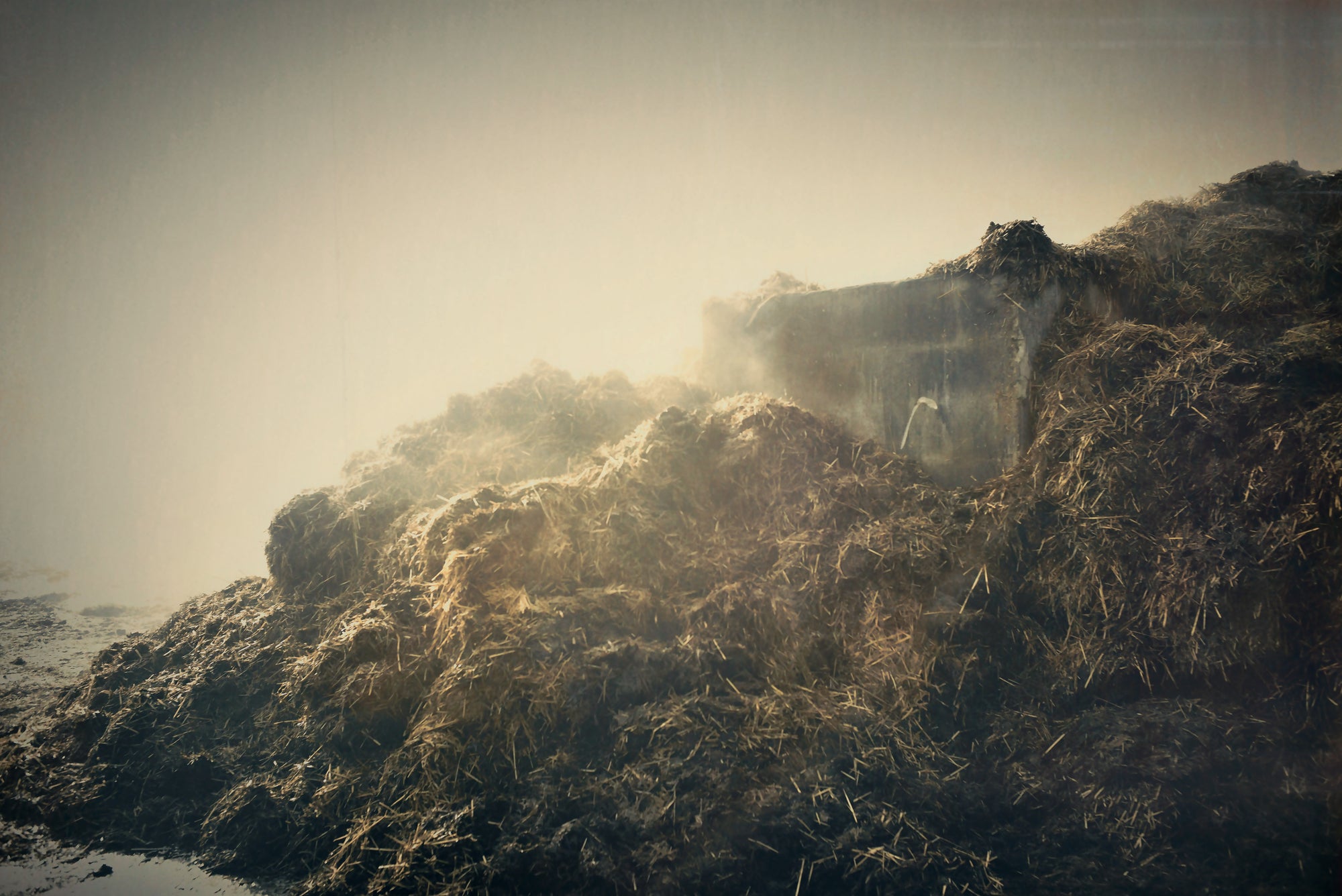 Fine art photography by Frank Kayser – steaming manure in the Rhön morning fog, authentic and raw.