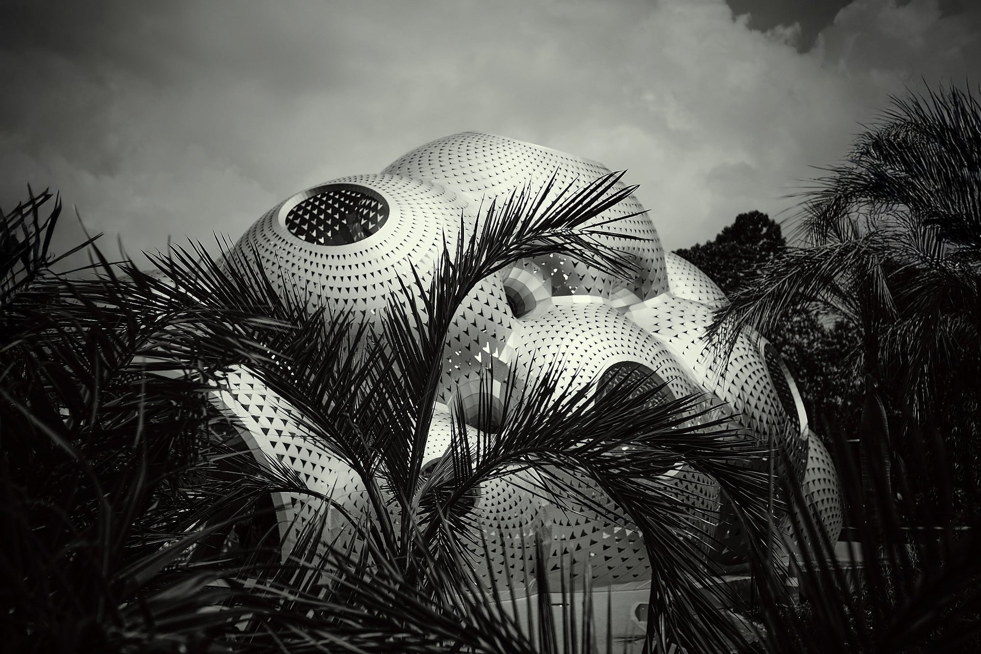 Fine art photography print by Frank Kayser – futuristic dome-shaped building with perforated geometric design, partially obscured by palm leaves, black and white architectural artwork.